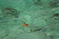 Schildkröte &ndash; &copy; Laura Wonneberger (Eberhardt TRAVEL)