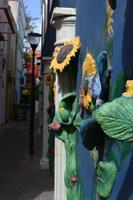 Willemstad Curacao (1) &ndash; &copy; Laura Wonneberger (Eberhardt TRAVEL)