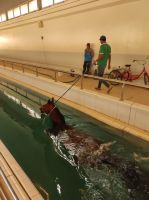 beim schwimmen &ndash; &copy; Sten Bernhardt (Eberhardt TRAVEL)