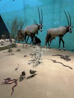 Nationalmuseum Doha