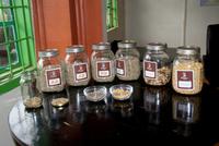 Fairview Estate Kaffeefarm (2) &ndash; &copy; Susanne Schirmann (Eberhardt TRAVEL)