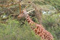 029- &ndash; &copy; Susanne Schirmann (Eberhardt TRAVEL)