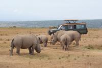 Safari im Solio Reservat (10) &ndash; &copy; Susanne Schirmann (Eberhardt TRAVEL)