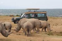 Safari im Solio Reservat (11) &ndash; &copy; Susanne Schirmann (Eberhardt TRAVEL)