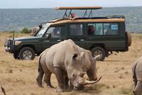Safari im Solio Reservat (14) &ndash; &copy; Susanne Schirmann (Eberhardt TRAVEL)
