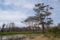 Safari im Solio Reservat (20) &ndash; &copy; Susanne Schirmann (Eberhardt TRAVEL)