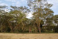 Safari im Solio Reservat (38) &ndash; &copy; Susanne Schirmann (Eberhardt TRAVEL)