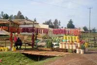 Kenia (3) &ndash; &copy; Susanne Schirmann (Eberhardt TRAVEL)