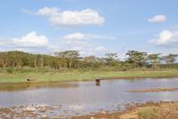 Lake Nakuru &ndash; &copy; Susanne Schirmann (Eberhardt TRAVEL)