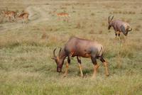 Mara (16) &ndash; &copy; Susanne Schirmann (Eberhardt TRAVEL)