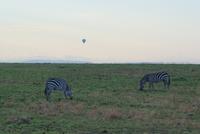 Morgenstimmung Masai Mara (4) &ndash; &copy; Susanne Schirmann (Eberhardt TRAVEL)