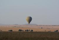 Morgenstimmung Masai Mara (8) &ndash; &copy; Susanne Schirmann (Eberhardt TRAVEL)