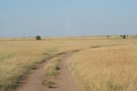 Masai Mara Safar &ndash; &copy; Susanne Schirmann (Eberhardt TRAVEL)