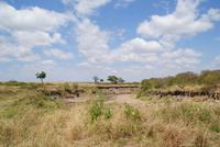 Masai Mara (41) &ndash; &copy; Susanne Schirmann (Eberhardt TRAVEL)