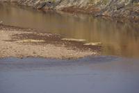 Krokodile &ndash; &copy; Susanne Schirmann (Eberhardt TRAVEL)