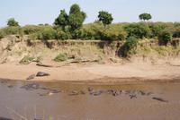 Masai Mara (63) &ndash; &copy; Susanne Schirmann (Eberhardt TRAVEL)
