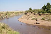 Masai Mara (64) &ndash; &copy; Susanne Schirmann (Eberhardt TRAVEL)