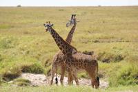 Mara (73) &ndash; &copy; Susanne Schirmann (Eberhardt TRAVEL)