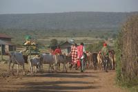 Kenia (4) &ndash; &copy; Susanne Schirmann (Eberhardt TRAVEL)