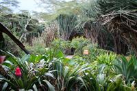 Lake Naivasha Sopa Lodge (6) &ndash; &copy; Susanne Schirmann (Eberhardt TRAVEL)