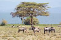 Crescent Island &ndash; &copy; Susanne Schirmann (Eberhardt TRAVEL)