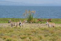 Crescent Island (3) &ndash; &copy; Susanne Schirmann (Eberhardt TRAVEL)
