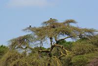 Crescent Island (4) &ndash; &copy; Susanne Schirmann (Eberhardt TRAVEL)