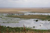 Safari im Amboseli Nationalpark (28) &ndash; &copy; Susanne Schirmann (Eberhardt TRAVEL)