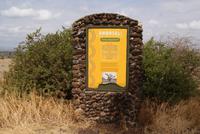 Safari im Amboseli Nationalpark (30) &ndash; &copy; Susanne Schirmann (Eberhardt TRAVEL)