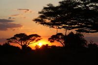 Abendstimmung im Amboseli NP (3) &ndash; &copy; Susanne Schirmann (Eberhardt TRAVEL)