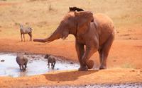 BLick von der Kilaguni Serena Safari Lodge (2) &ndash; &copy; Susanne Schirmann (Eberhardt TRAVEL)