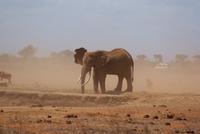 Vom Winde verweht &ndash; &copy; Susanne Schirmann (Eberhardt TRAVEL)