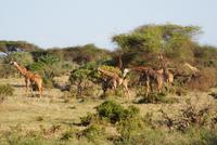 Tsavo Ost NP (15) &ndash; &copy; Susanne Schirmann (Eberhardt TRAVEL)