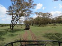 0040 Safari im Solio Nationalpark &ndash; &copy; Annette Weise (Eberhardt TRAVEL)