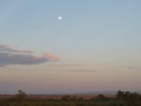 0177 Massai Mara - Morgenstimmung &ndash; &copy; Annette Weise (Eberhardt TRAVEL)