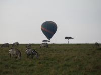 0249 Massai Mara - Morgenstimmung  &ndash; &copy; Annette Weise (Eberhardt TRAVEL)