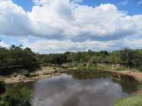 0331 Massai Mara - Telekfluss &ndash; &copy; Annette Weise (Eberhardt TRAVEL)