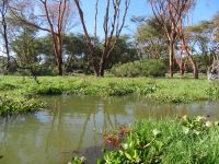 0416 Lake Naivasha -  &ndash; &copy; Annette Weise (Eberhardt TRAVEL)