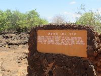 0816 Tsavo-West Nationalpark - Lavafeld &ndash; &copy; Annette Weise (Eberhardt TRAVEL)