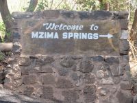 0837 Tsavo-West Nationalpark - Mzima Springs &ndash; &copy; Annette Weise (Eberhardt TRAVEL)