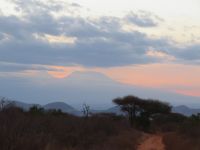 0927 Tsavo-West Nationalpark - &ndash; &copy; Annette Weise (Eberhardt TRAVEL)