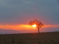 1049 Tsavo-Ost Nationalpark -Sonnenuntergang &ndash; &copy; Annette Weise (Eberhardt TRAVEL)