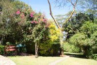 75 Savora Lion Hill Game Lodge &ndash; &copy; Susanne Schirmann (Eberhardt TRAVEL)