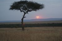 145 Masai Mara &ndash; &copy; Susanne Schirmann (Eberhardt TRAVEL)