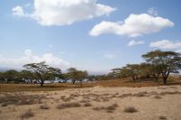 317 Safari Crescent Island &ndash; &copy; Susanne Schirmann (Eberhardt TRAVEL)