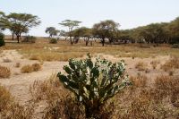 322 Safari Crescent Island &ndash; &copy; Susanne Schirmann (Eberhardt TRAVEL)