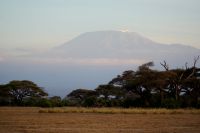373 Kilimandscharo &ndash; &copy; Susanne Schirmann (Eberhardt TRAVEL)