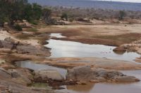 462 Tsavo Ost &ndash; &copy; Susanne Schirmann (Eberhardt TRAVEL)