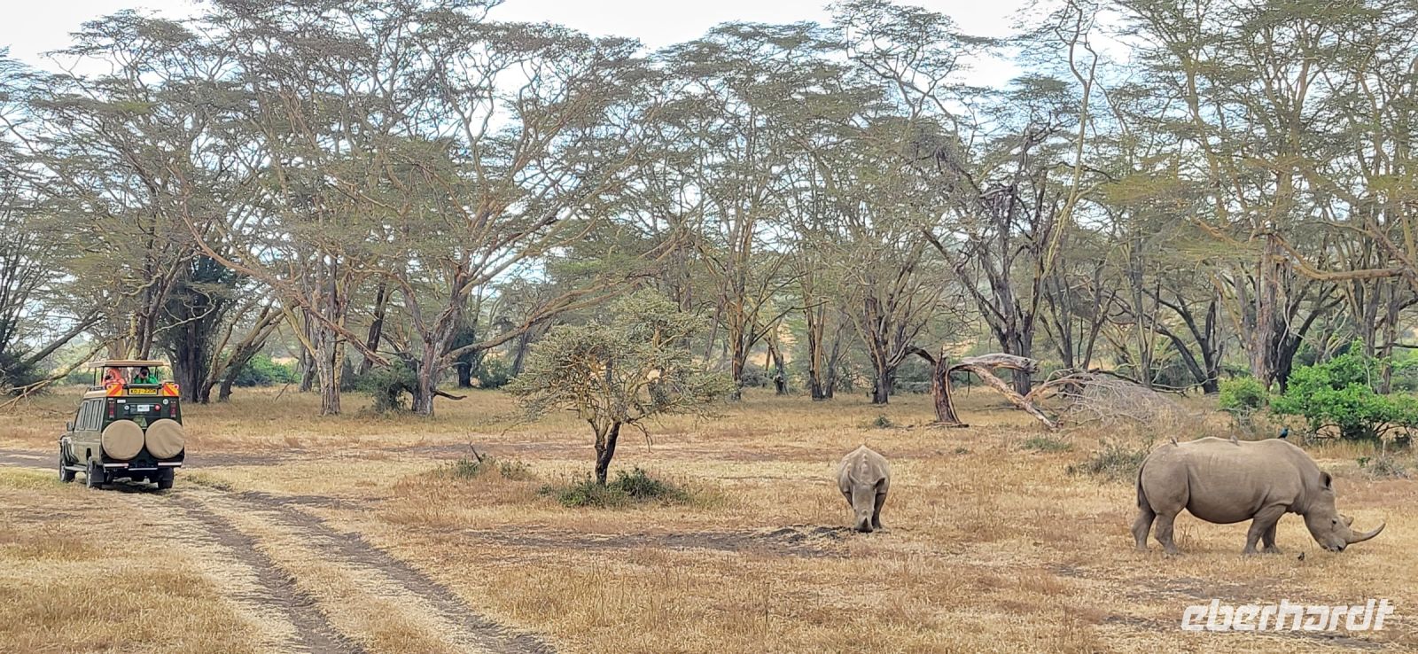 26 Solio Rhino Sanctuary &ndash; &copy; Susanne Schirmann (Eberhardt TRAVEL)