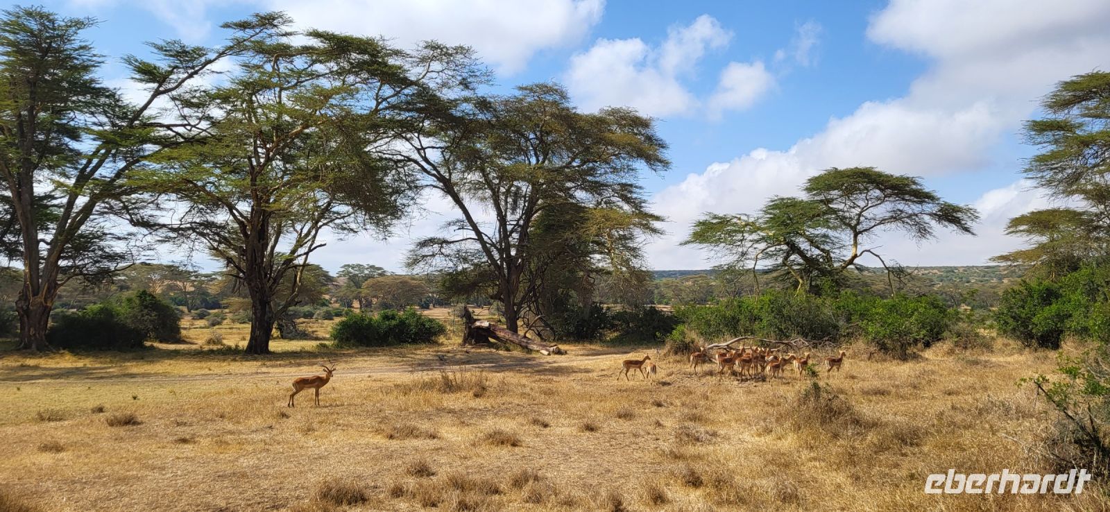 31 Solio Rhino Sanctuary &ndash; &copy; Susanne Schirmann (Eberhardt TRAVEL)